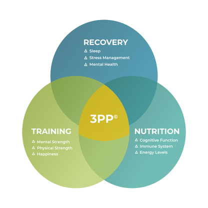 3PP Executive Coaching